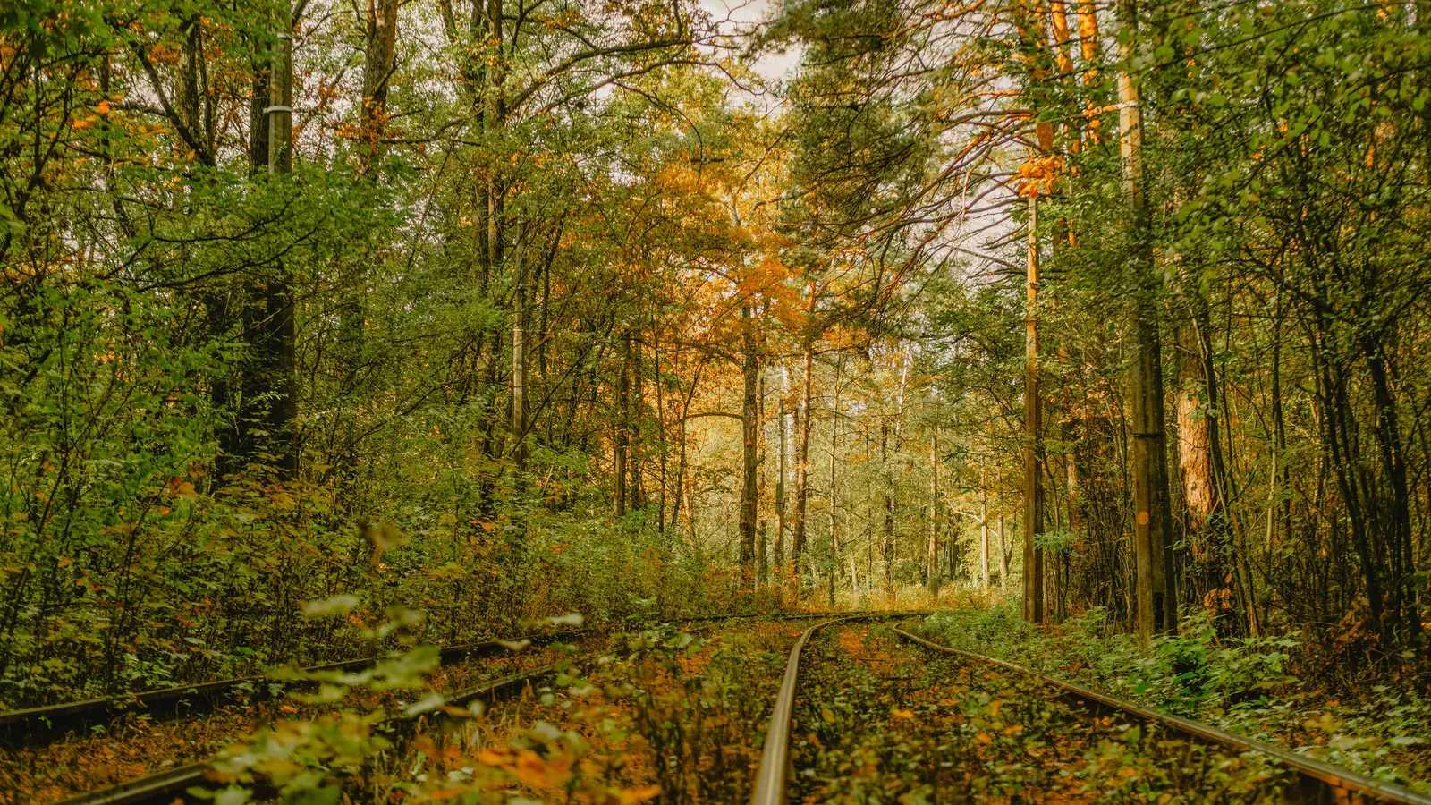 The LIRR Just Bought 46 Acres in Port Jefferson Station for $10