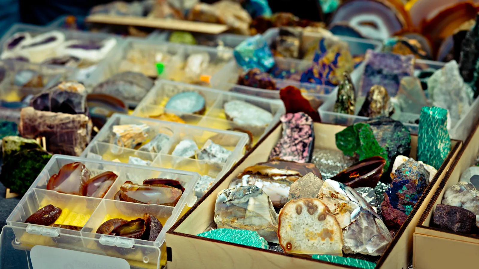 Fossils, Gemstones and 27 Dealers: Freeport’s Gem Show Returns This Weekend