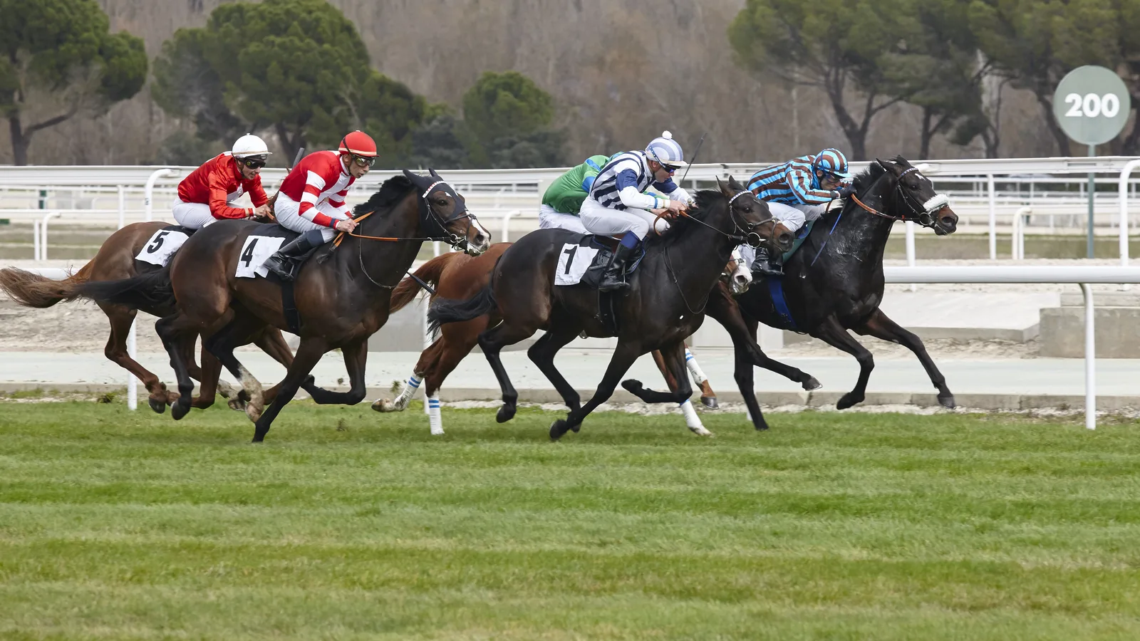 Five Weeks Before Belmont Park Reopens, the Paperwork to Pour a Beer There Just Showed Up