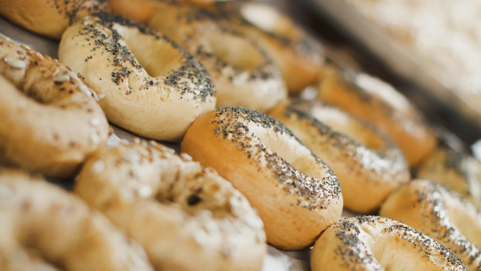 PopUp Bagels Opens Its Second Long Island Shop in Roslyn, With Huntington Station Next
