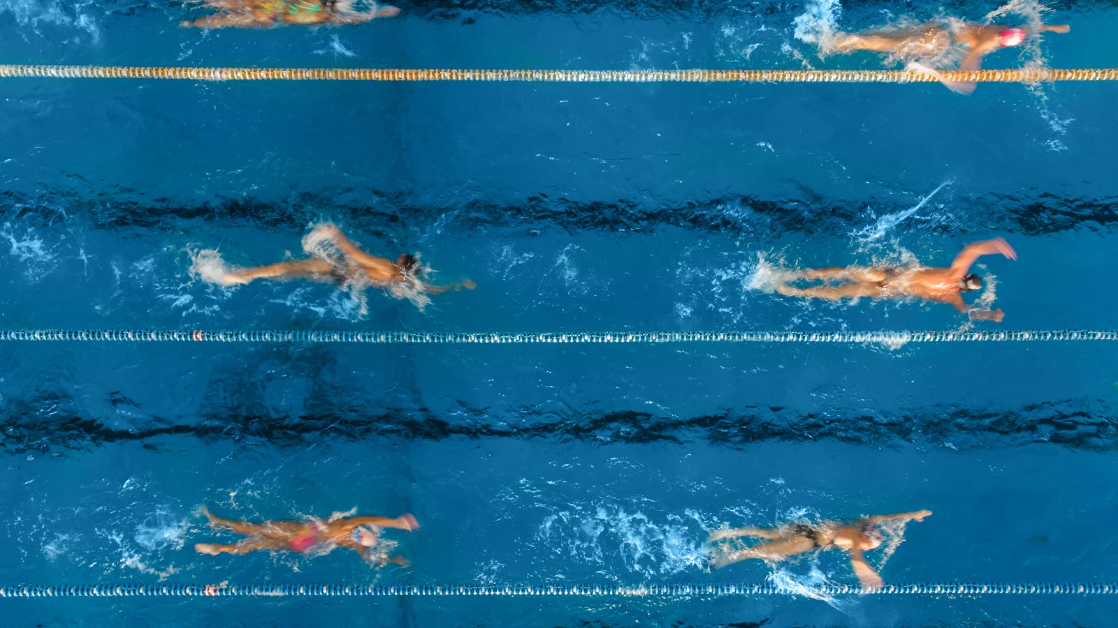 Hofstra Is Adding Swimming and Diving, Its First New Sports Since 2019