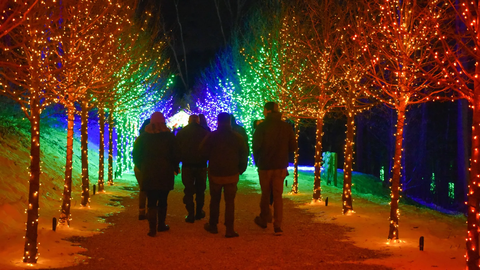 LuminoCity Returns to Eisenhower Park With Its First Train Ride Through the Lights