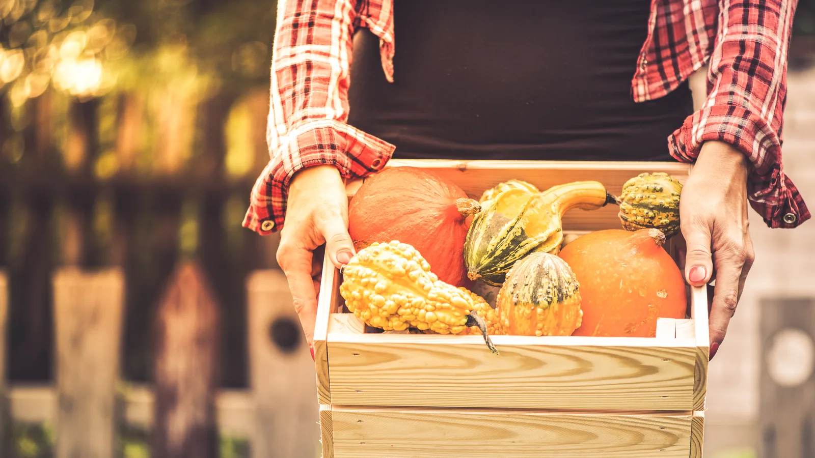 After 13 Years Downtown, Riverhead's Winter Farmers Market Finally Gets a Farm