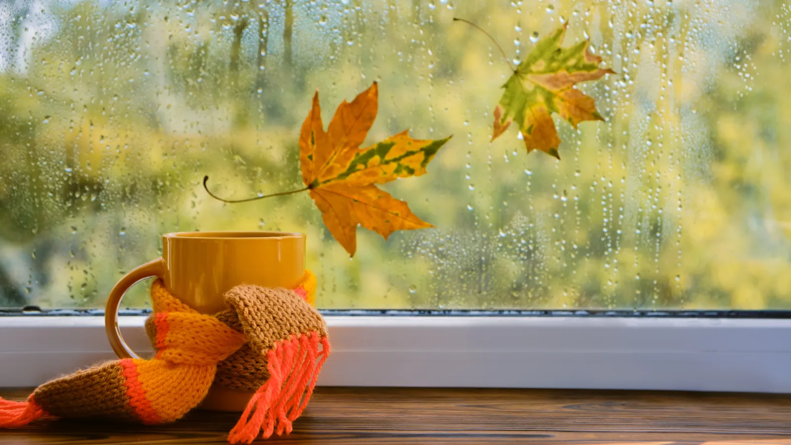 Six Weekend Plans That Can Take the Rain, From a Film Marathon in Stony Brook to a Title Chase in Central Islip
