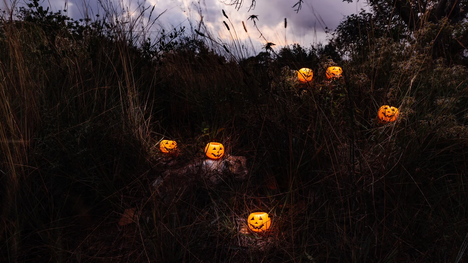 The Smithtown Historical Society Built a Haunted Trail Past Its Farm Animals