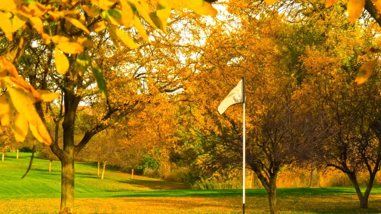 The Long Island Senior Open Came Down to a Three-Hole Playoff at Rockville Links