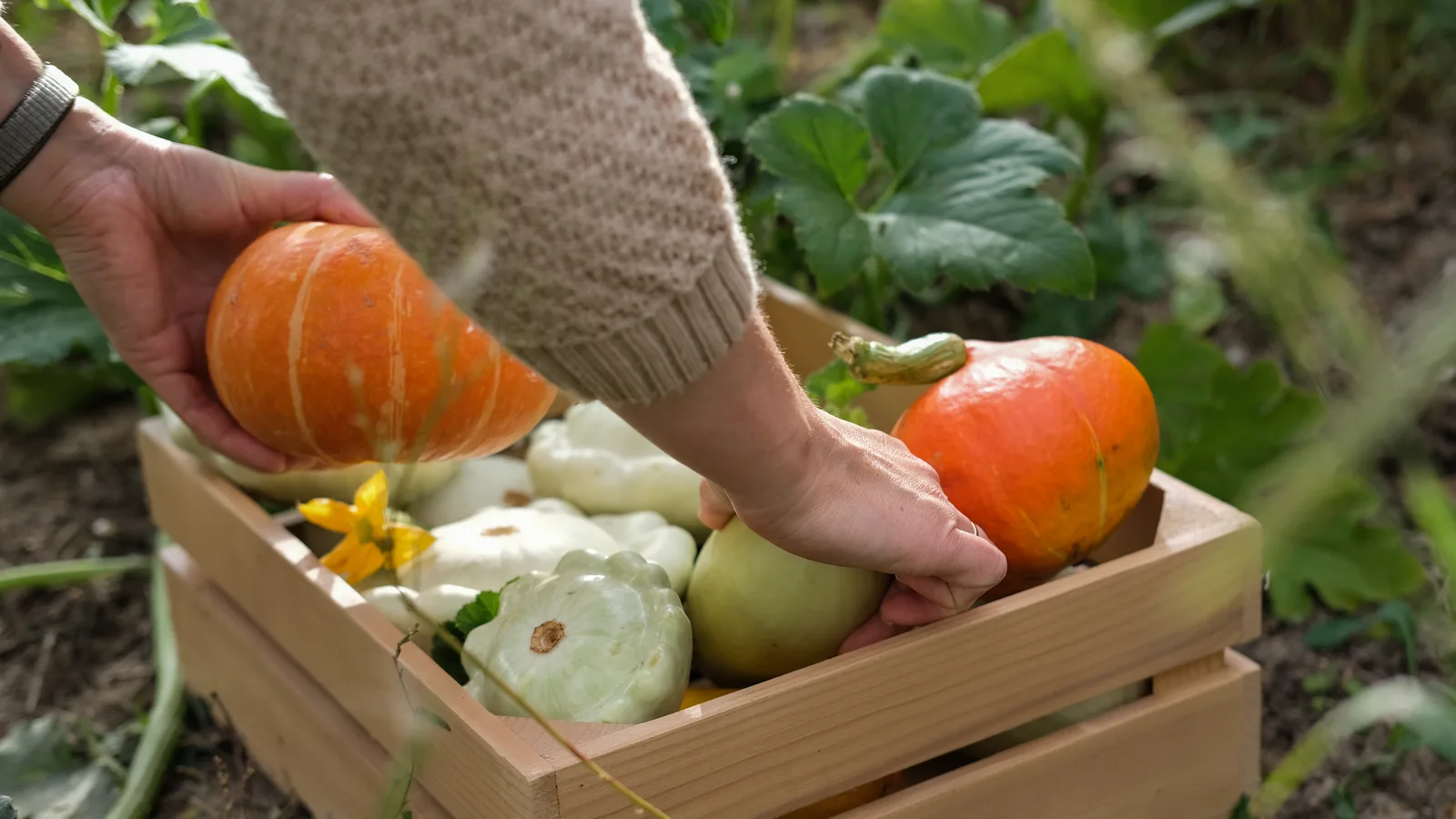 ELIJA Farm Opens a $1 Million Learning Center at Its South Huntington Farm