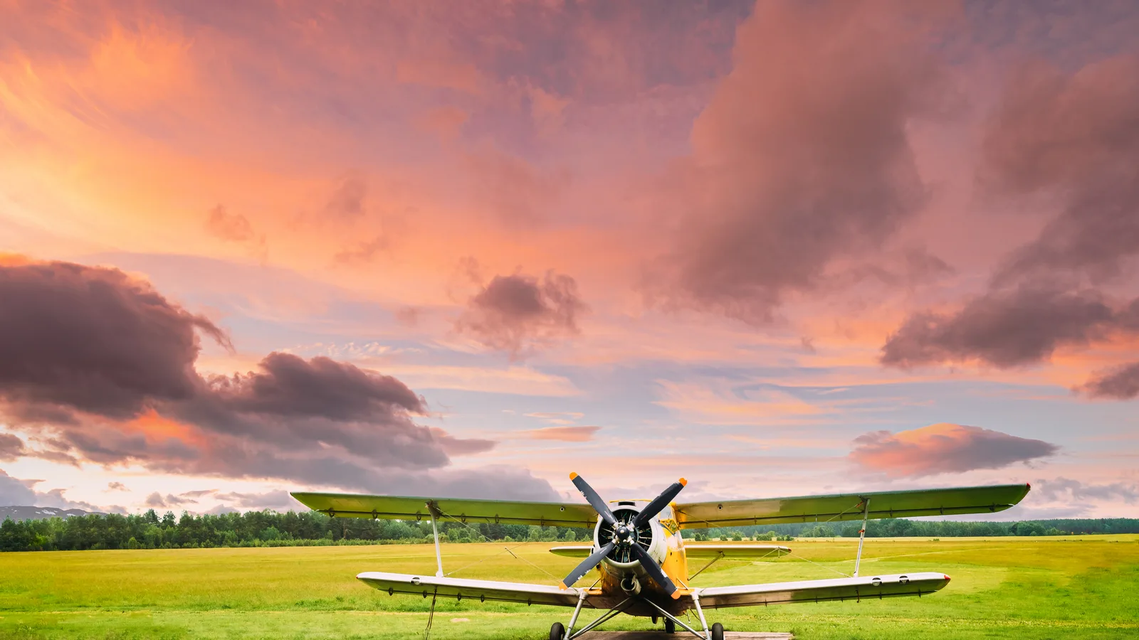 The Cradle of Aviation's Newest Arrival Is a 100-Year-Old Airplane That Was Built a Mile Away
