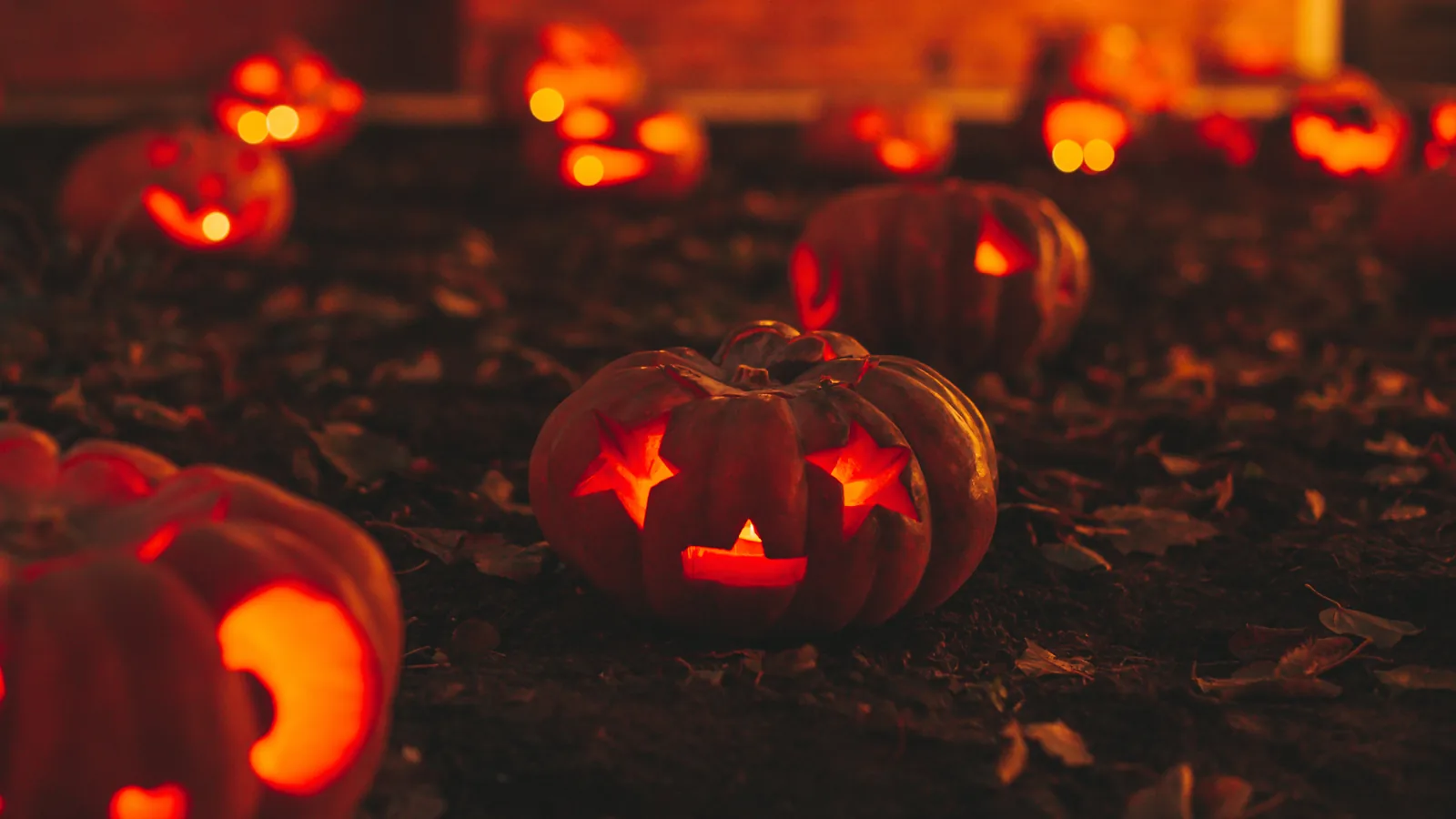 Things to Do on Long Island This Weekend: Pumpkin Trails, Diwali Fireworks and Isabella Rossellini in Patchogue
