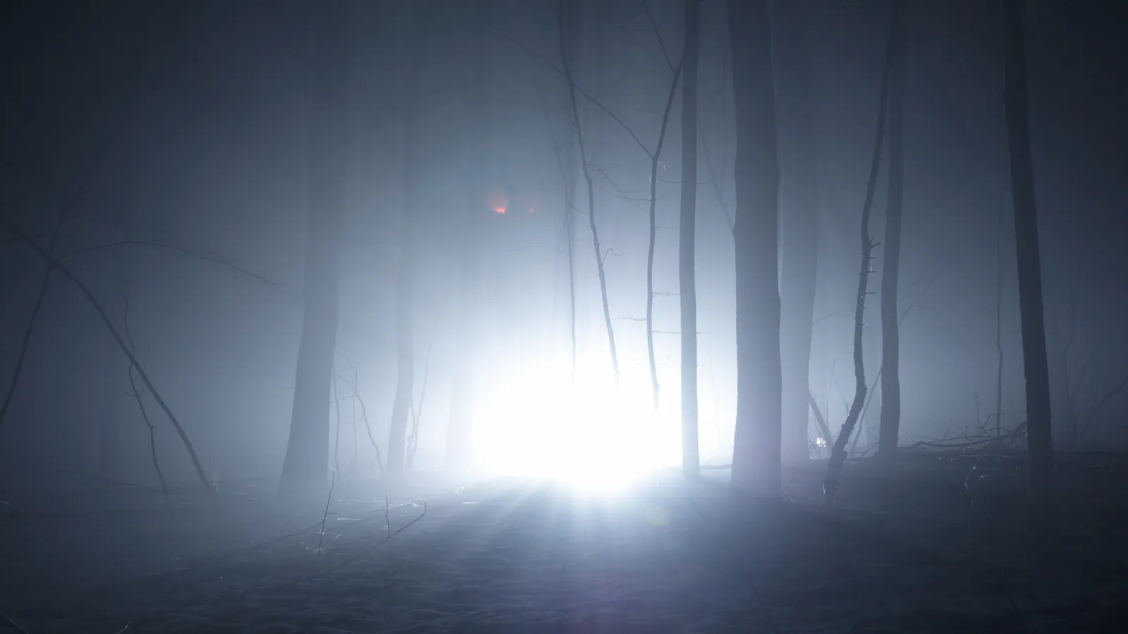 At Belmont Lake After Dark, the Haunted Trail Picks You Up in a Terror Cart