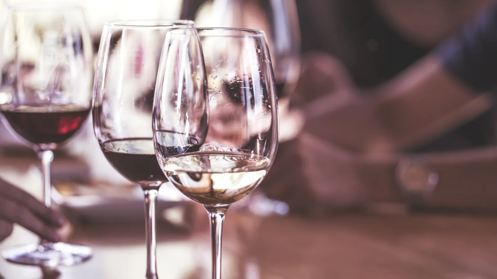 Wine Tasting Among the Sharks: Fish & Sips Fills the Long Island Aquarium After Hours on November 13