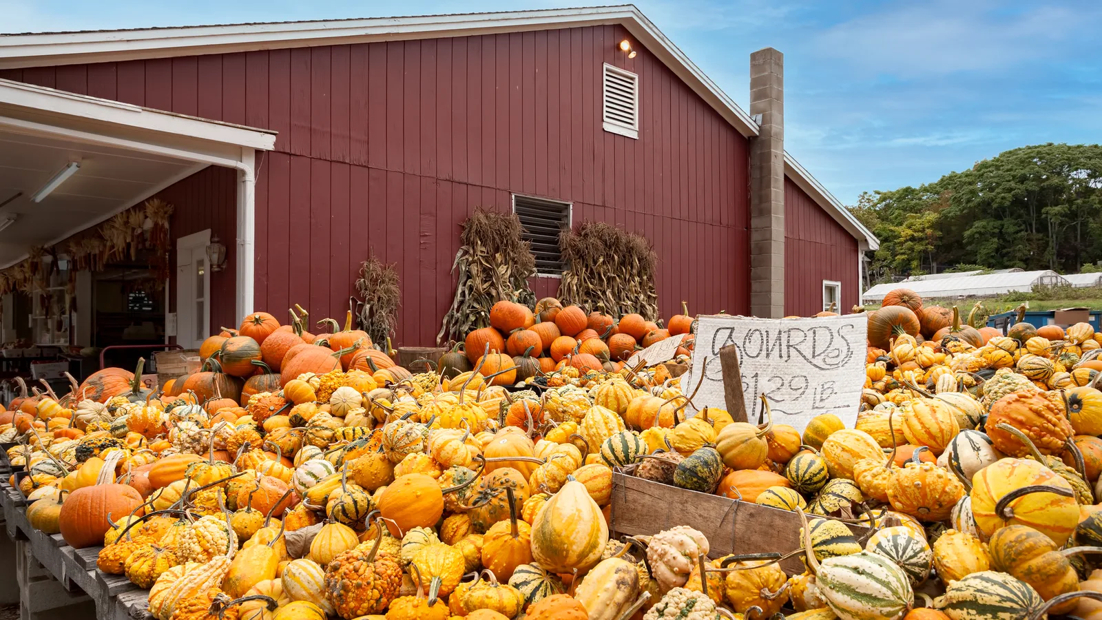 Hicks Nurseries' Fall Festival Opens Saturday for Year 51, and a Skeleton Family Has Moved In
