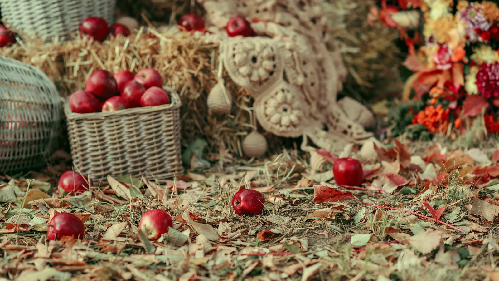 Mill Neck's Apple Festival Turns 70, and the Manor Gates Open October 10 and 11