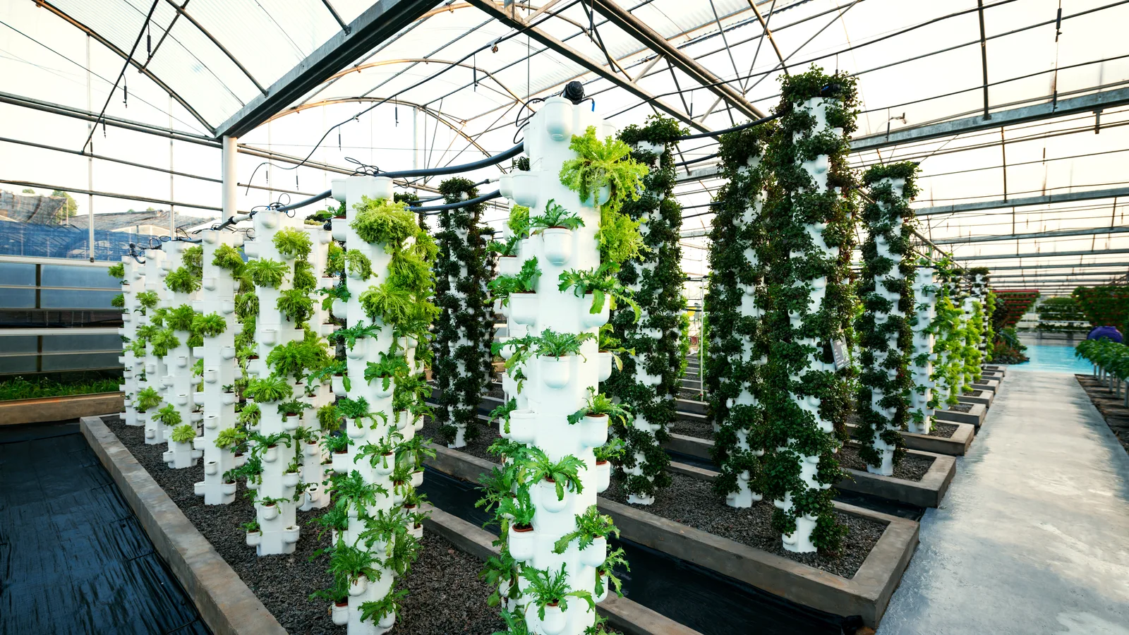 Bethpage's Newest Farm Is Indoors, Five Towers Tall and Built to Teach